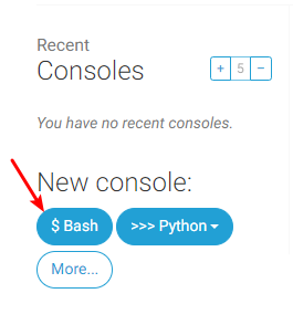 Open a Bash console